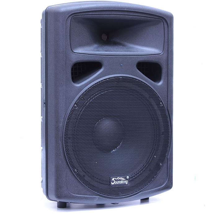 FP215 SOUNDKING ΗΧΕΙΑ  2 δρόμων 300W, 15