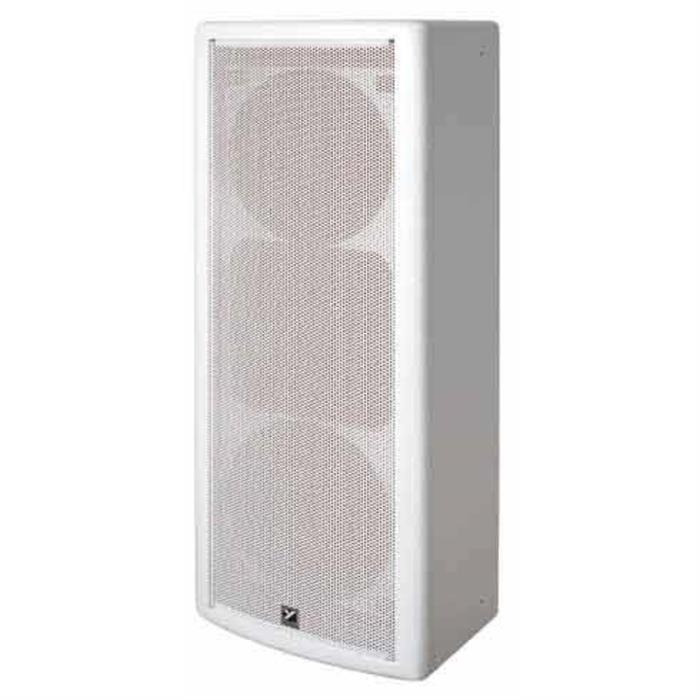 C2890 YORKVILLE 2x8''/1'' 200W/8R 90DEG CAB WFW COLIS