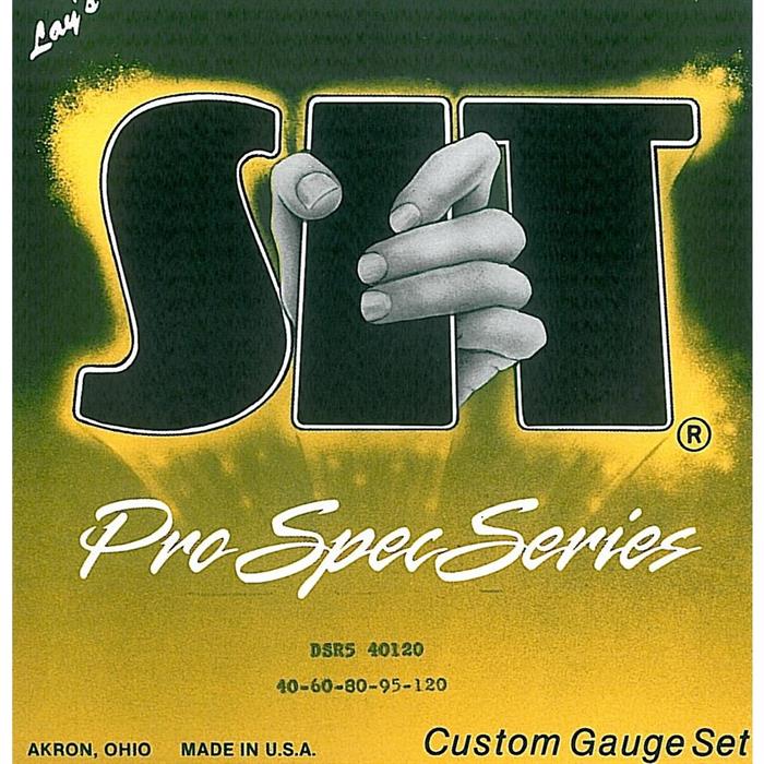 CUSTOM DSR5-40120 SIT DOUBLE BALL ΧΟΡΔΕΣ ΜΠΑΣΟΥ