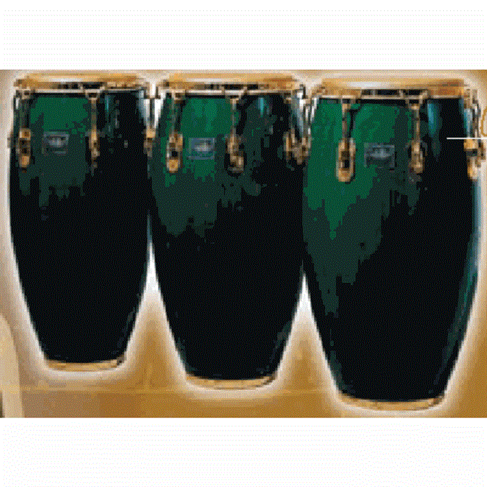 Conga 12