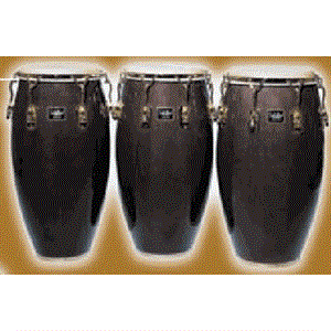 Schalloch Congas 420 series tbk