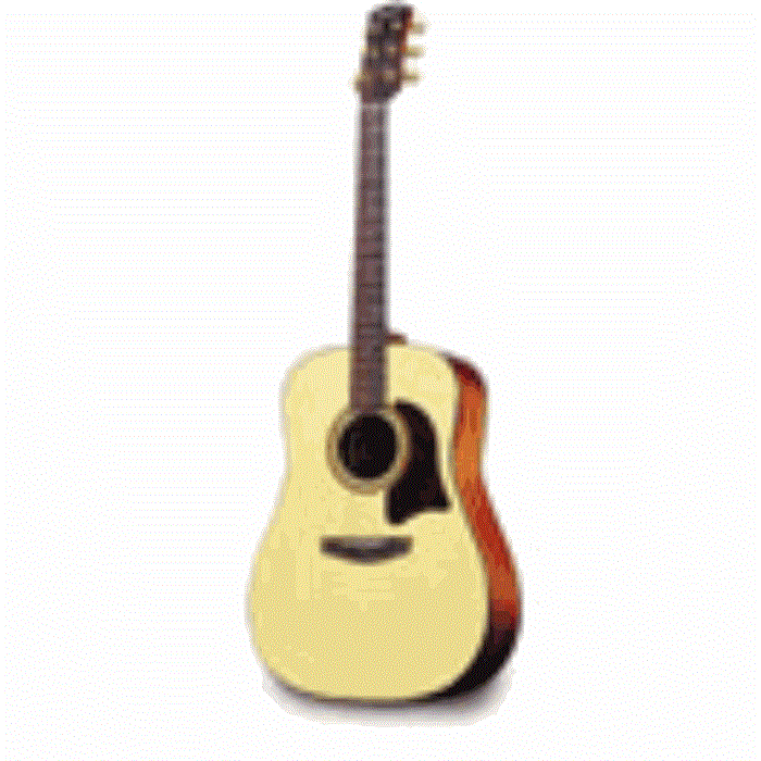 G-40 GARRISON GUITAR